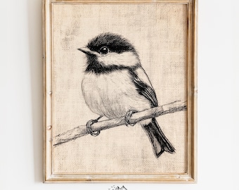 Printable Chickadee Pencil Sketch Art - Rustic Natural Bird Illustration, Cottagecore Wildlife Decor, Vintage Wall Art Print 1176