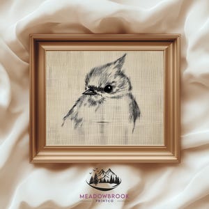 Tufted Titmouse Bird Wall Art - Rustic Bird Print, Farmhouse Bird Decor, Vintage Bird Painting, Neutral Artwork, Digital Download 1005