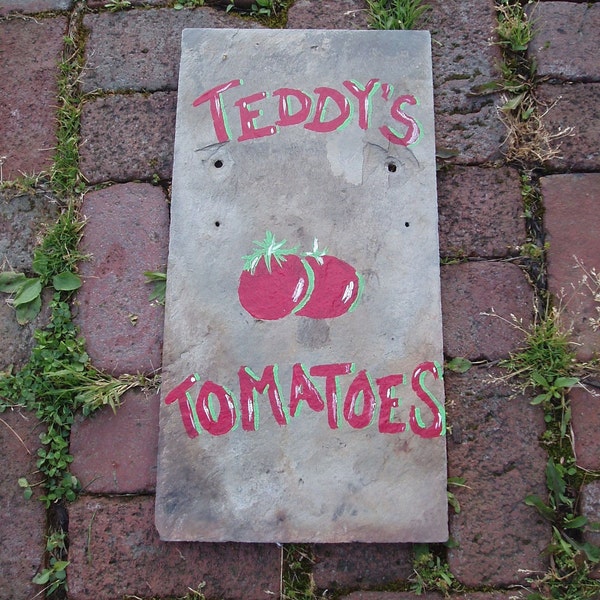 Teddy's tomatoes