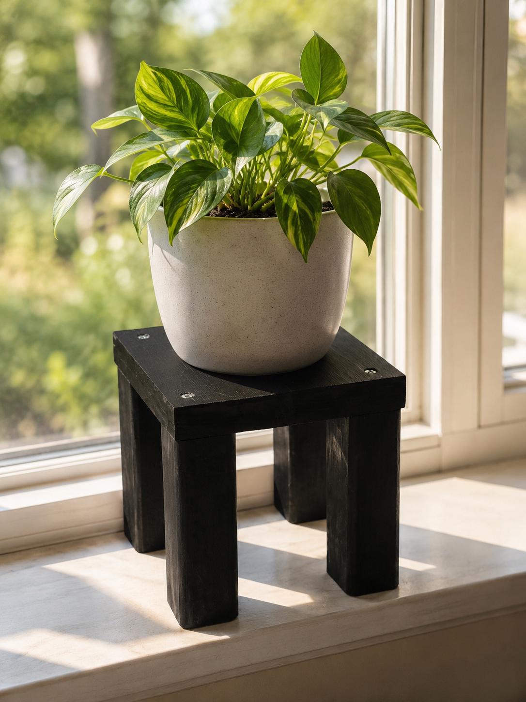 Tall Black Riser Square Black Riser Tall Leg Pedestal Square Candle ...