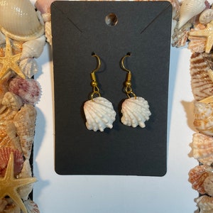 May include: A pair of gold shell earrings with white seashells hanging from gold hooks. The earrings are displayed on a black card.