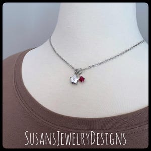 May include: A silver chain necklace with a star charm and a small red crystal. The star charm has the letter "R" engraved on it.