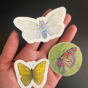 Pacote de adesivos de borboleta caprichosa - Arte personalizada original - Scrapbooking Junk Journaling - Pacote de adesivos de insetos - Arte de insetos personalizada