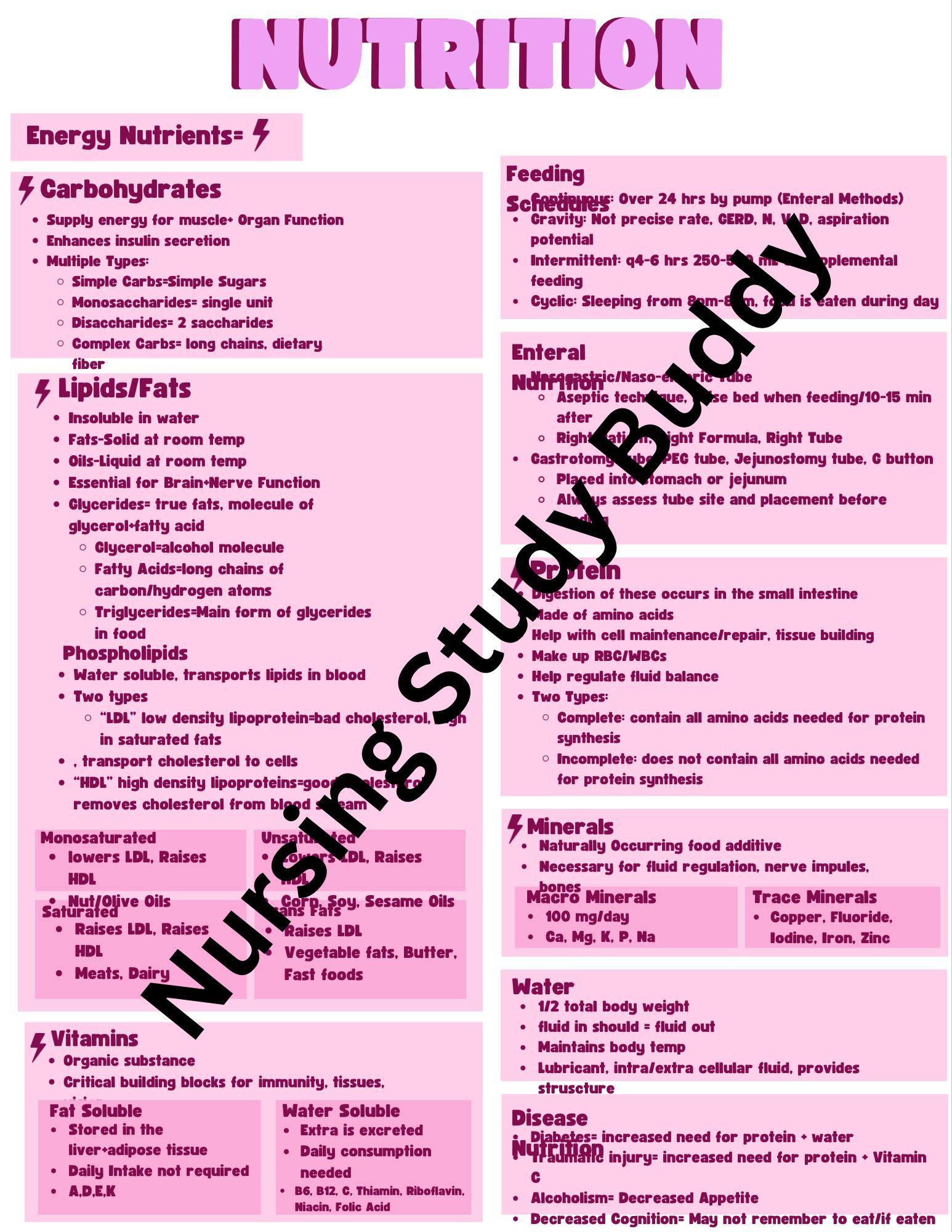 Nutrition Study Guide Examples Nutrition Study Guide - Etsy
