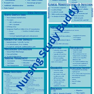 May include: A colorful chart with the title "Integumentary System" and a section titled "Nursing Care." The chart lists various skin conditions, including viral infections, bacterial skin infections, fungal infections, and more. It also includes information on the function of the skin, factors influencing skin health, and clinical manifestations of infection.