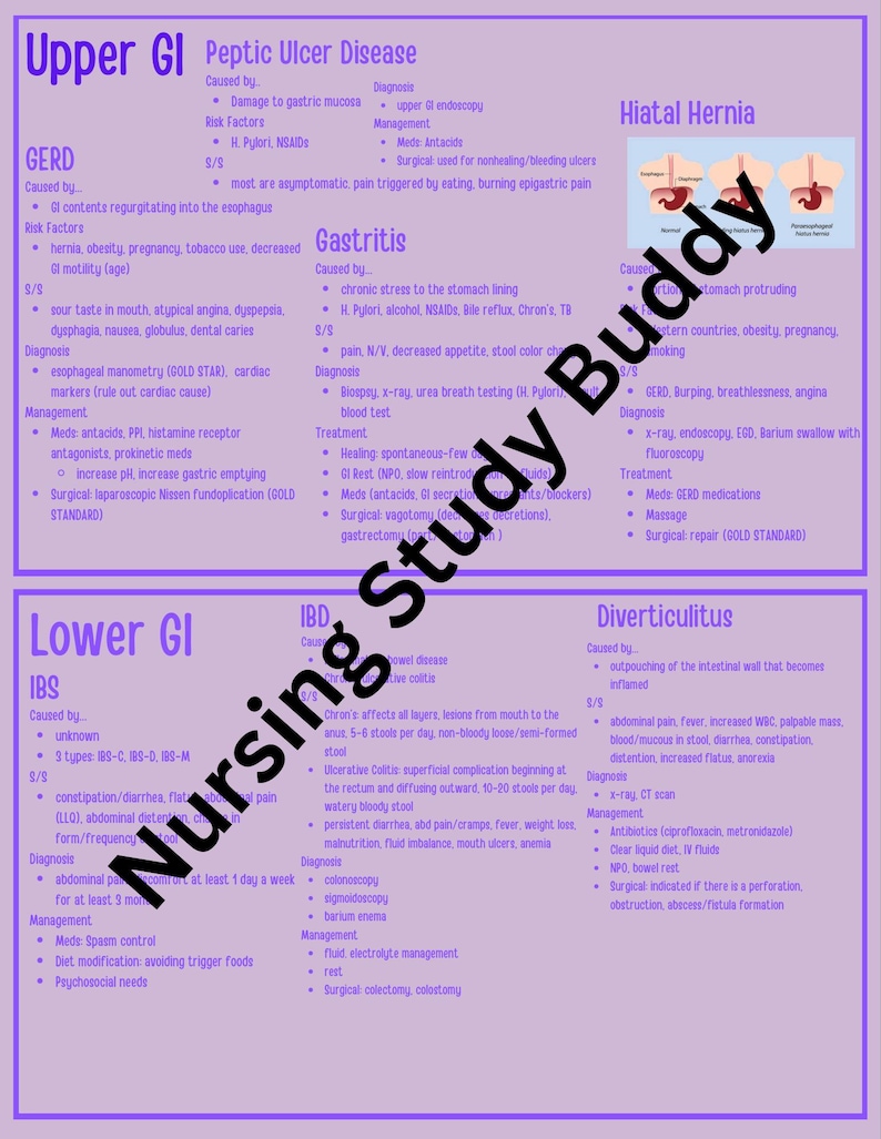 Gastrointestinal Study Guide - Etsy