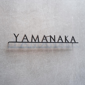 Your Custom Text, Last Name Sign, Family Name Sign, Wall Sign, Personalized Metal Sign for Home, Steel Words, House Sign, Street Name Sign
