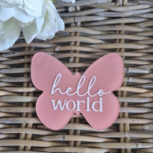 May include: A pink butterfly-shaped decoration with the words "hello world" in white script. The decoration is set against a woven wicker background, with a white flower in the upper left corner.