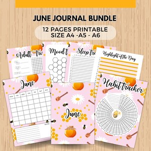Può includere: Un set di diario di giugno con 12 pagine stampabili nei formati A4, A5 e A6. Le pagine presentano uno sfondo rosa con margherite bianche, favi, spargimiele e api. Il testo include June, Adult, Mood, Sleep, Highlight of the Day e Habit tracker.