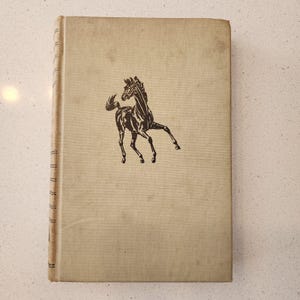 Jahrgang 1947 Sohn des Black Stallion Buch von Walter Farley Hardcover