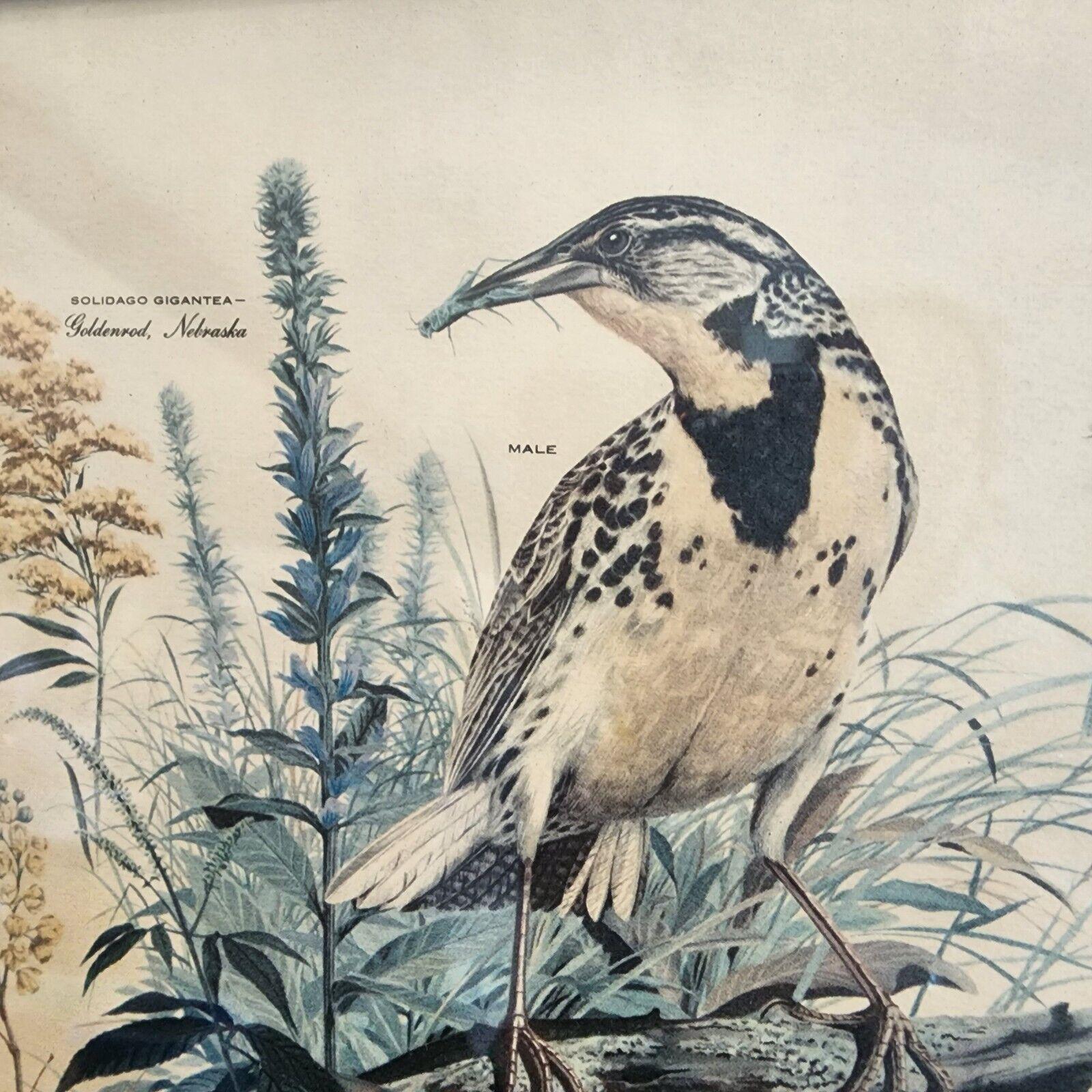 Arthur Singerアーサーシンガー！フラミンゴバレット。鳥のArtist Vintage 1950's Arthur Singer Print Wall Hanging Old Wooden