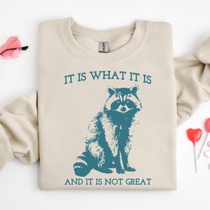 It Is What It Is And It Is Not Great Sweatshirt,Mental Health Sweatshirt,Funny Sweatshirt Women,Meme Sweatshirt,Raccoon Shirt