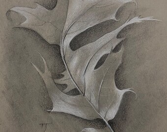 November Oak Leaf - Original Charcoal Drawing