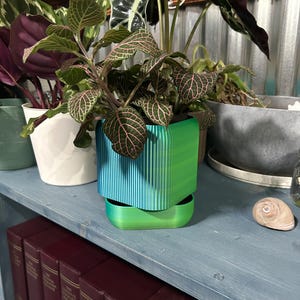 Self Watering Plant Pot