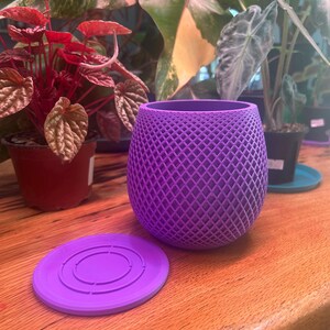 May include: A purple, lattice-patterned planter with a matching saucer. The planter has a rounded shape and is made of a solid material. The saucer is circular with a raised center and grooves. The background includes various potted plants.