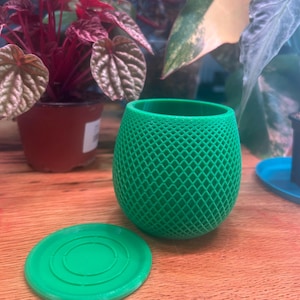 May include: A bright green, lattice-patterned planter with a matching saucer. The planter has a rounded shape and sits next to its saucer on a wooden surface. Lush green and red plants are in the background.