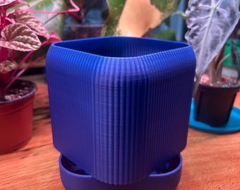 Self Watering Plant Pot