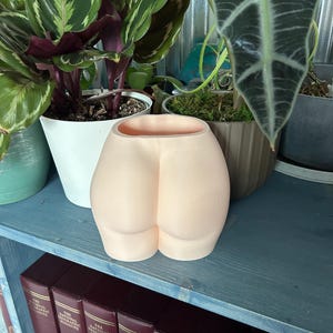 3D Printed Butt Plant Pot