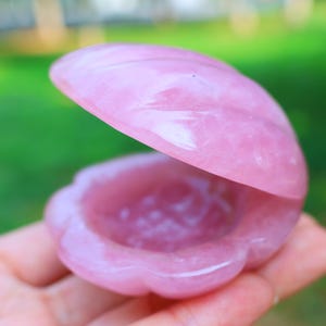 May include: A pink, open clam shell-shaped decorative object. The shell is made of a translucent, polished stone, with a smooth, glossy surface. The interior of the shell is a lighter shade of pink. The background is blurred green.