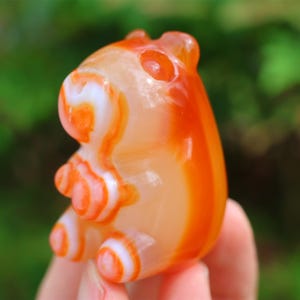 2inches natural red agate carved capybara,quartz crystal carving, capybara statue