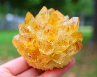 高品質のシャッタカイトパームストーン - #4 - Etsy 日本