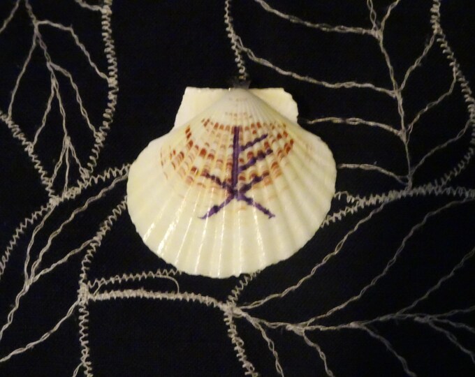 Runic Prosperity Shell Pendant 3