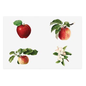 Vintage Apple Sticker Sheet