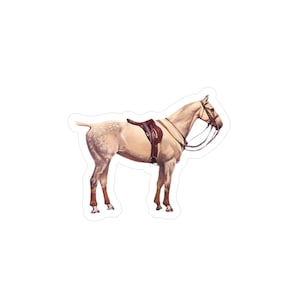 Vintage Polo Pony Kiss-Cut Vinyl Decal