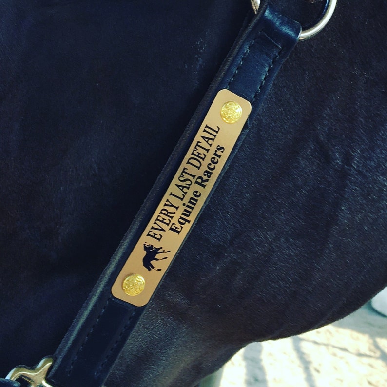 Custom Brass Horse Halter Name Plate ID Tag Personalized Etsy