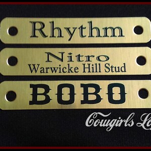 Puede incluir: Tres etiquetas de metal de color dorado con letras negras. La etiqueta superior dice "Rhythm". La etiqueta del medio dice "Nitro Warwick Hill Stud". La etiqueta inferior dice "BOBO".