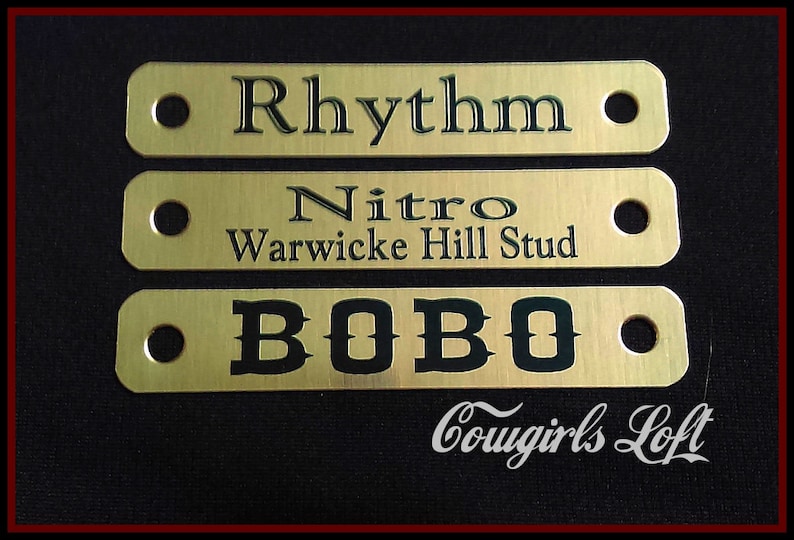Gold Brass ID Tag Bridle 58 in X 3.5 in Saddle HORSE HALTER Name Plates w chicago screws breastcollar nameplate - Cowgirls Loft