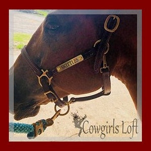 Puede incluir: Un caballo marr&oacute;n con una cabezada de cuero con una placa de nombre dorada que dice "SKITTLES". El caballo est&aacute; de pie sobre una superficie arenosa con una cuerda azul atada a la cabezada. El texto "Cowgirls Loft" es visible en la esquina inferior derecha de la imagen.