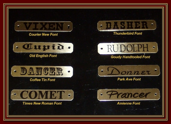 Gold Brass Horse Halter Name Plate: Personalized, chicago screws included