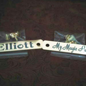 Puede incluir: Dos etiquetas de metal doradas con letras negras. La primera etiqueta dice "Elliott" y la segunda etiqueta dice "My Magic Ruby".