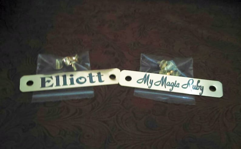 Puede incluir: Dos etiquetas de metal doradas con letras negras. La primera etiqueta dice "Elliott" y la segunda etiqueta dice "My Magic Ruby".