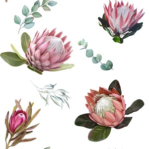 May include: A seamless pattern featuring watercolor illustrations of pink protea flowers and eucalyptus leaves on a white background. The protea flowers have a textured appearance, with shades of pink and white. The eucalyptus leaves are in shades of green and blue.