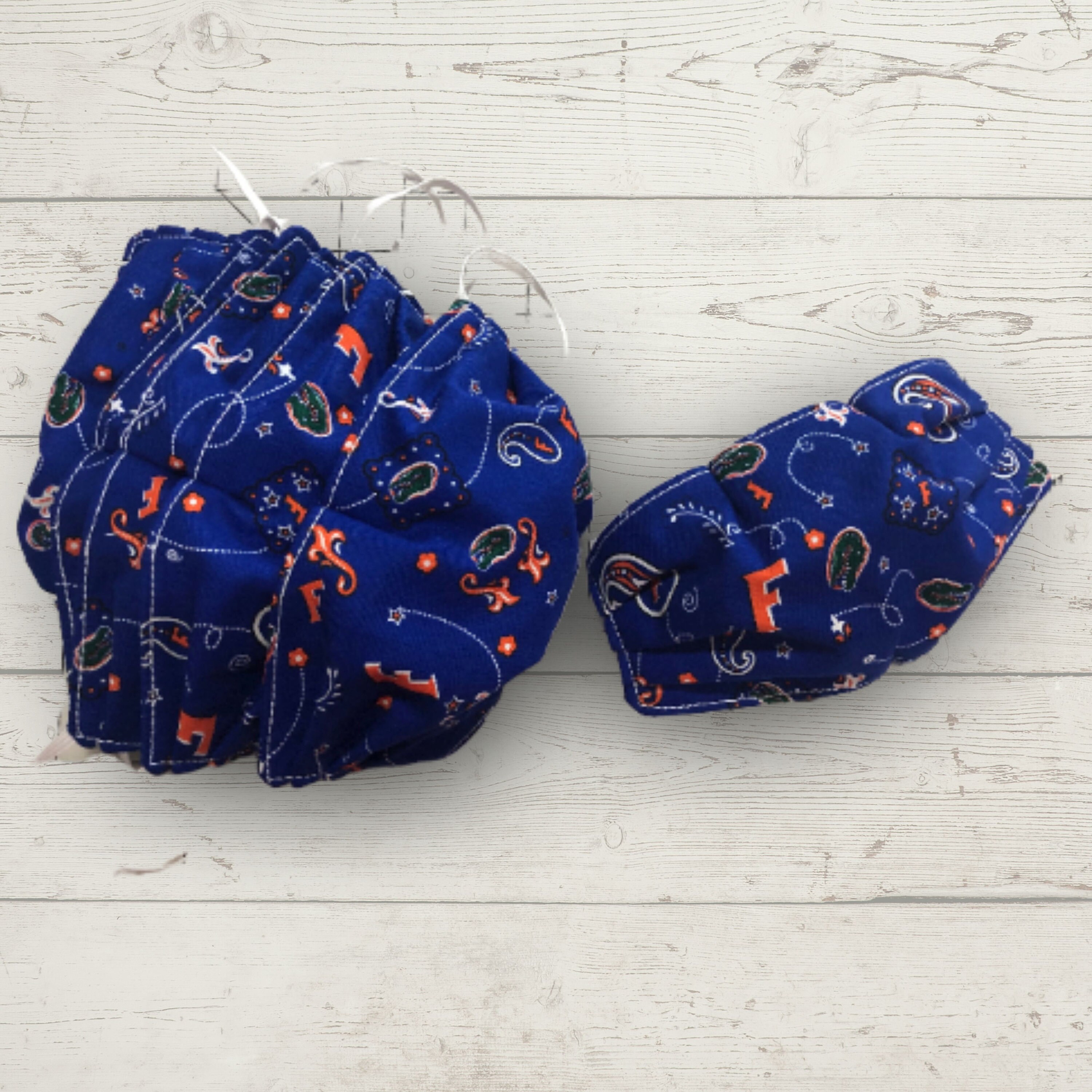 UF University of Florida Gators Gator blue orange reusable washable F…
