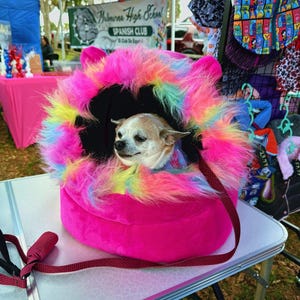 May include: A small dog peeks out of a vibrant pink pet bed with a fluffy, rainbow-colored trim. The bed has a dark interior and a matching pink leash. The dog is light brown and white.