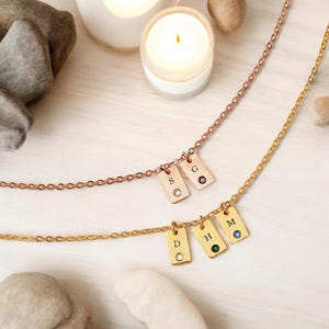 Collar con etiqueta inicial de piedra de nacimiento personalizado, collar con letra grabada con piedra de nacimiento, collar con etiqueta familiar personalizada, regalo del Día de la Madre para ella