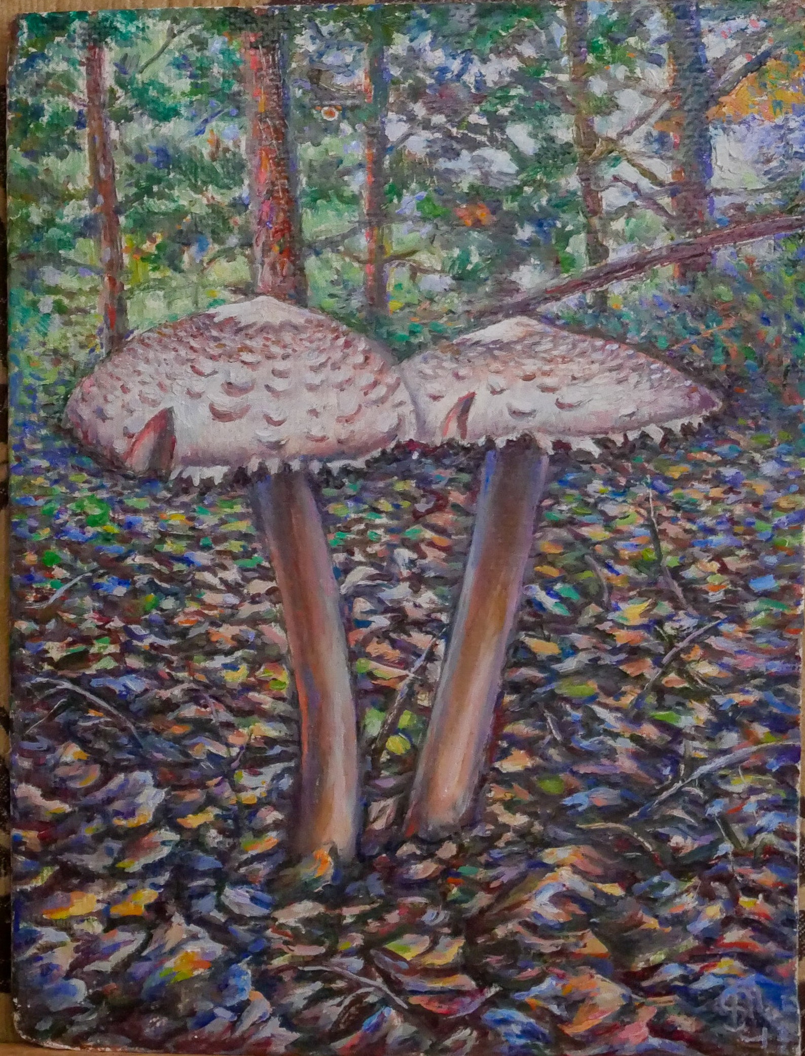 Mushroom Painting Oil Painting Original Oil Painting Hand Etsy