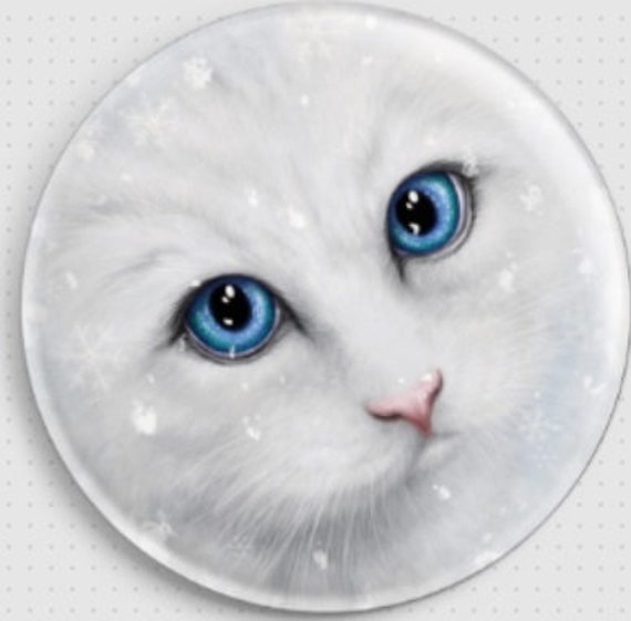 snowden ragdolls