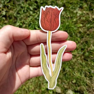 Adesivo Tulipano Rosso, Adesivo Fiore, Illustrazione, Adesivo per Diario o Laptop, Bottiglia d'Acqua