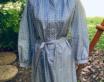1970s Placket Front Dress: Lady Carol Petites Light Blue Print