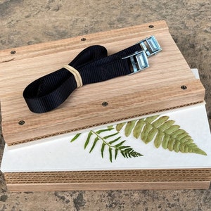 Small Oak Plant Press Kit 5.5 x 9"