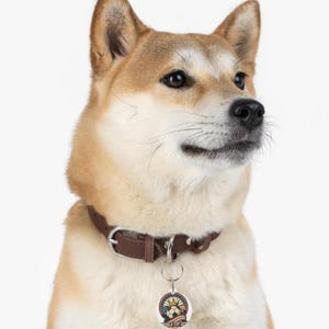 May include: A Shiba Inu dog wearing a brown leather collar with a metal buckle and a circular tag. The tag features a soccer ball design with the text "WORLD CUP 20". The dog has a light brown and white coat.