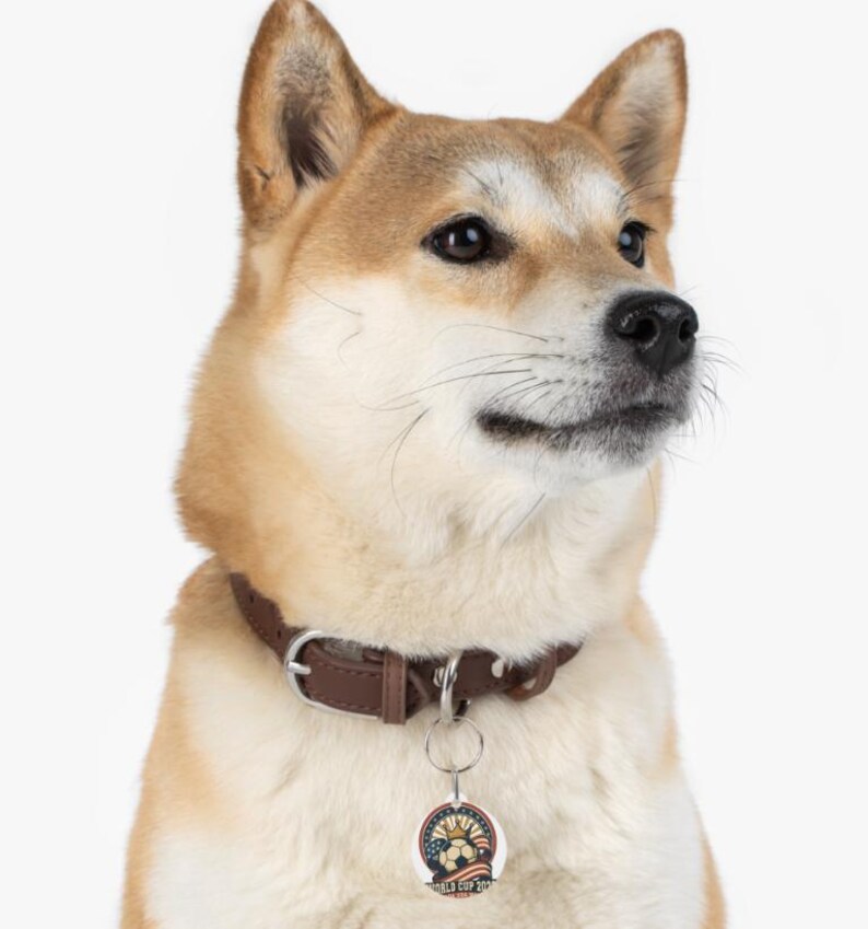 May include: A Shiba Inu dog wearing a brown leather collar with a metal buckle and a circular tag. The tag features a soccer ball design with the text "WORLD CUP 20". The dog has a light brown and white coat.