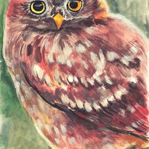 Picture, digital print, tawny owl, night owl, owl, forest animal