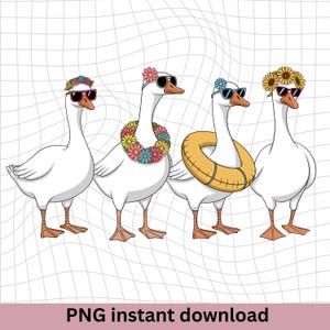 Summer Goose PNG, Hello Summer Png, Summer Vibes Png, Goose Lover Png, Beach Vibes Png, Vacation Png, Animal Lover Png, Instant Download