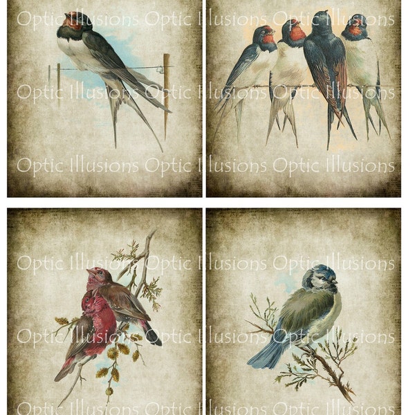 Vintage Bird Illustrations - Special - Four Pictures - 4x5 Inch - Pictures 1 thru 4 - Card Supplies, Scrapbooking -  INSTANT DOWNLOAD -3.50