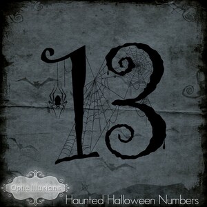 May include: Black number 13 with a spider web design and a spider hanging from the top. The number is on a dark gray background with a white text box that says "Optic Illusions" and "Haunted Halloween Numbers".